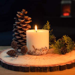 Sójová svíčka - Borovicový les XL